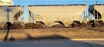 CRDX 22613